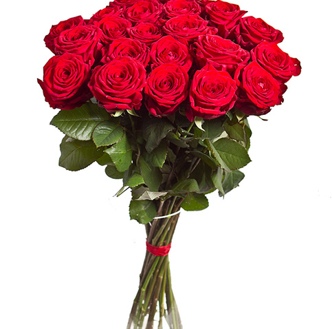 Розы красные в магазине Кактус г. Сургут